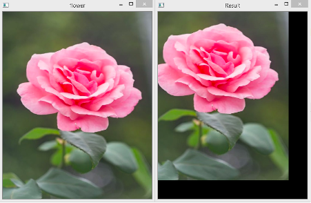 flower and resutl Geometric Transformations