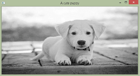 openCV image processing, grayscale