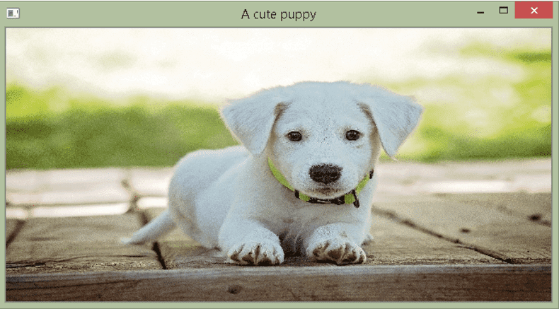 image procession using python, read image