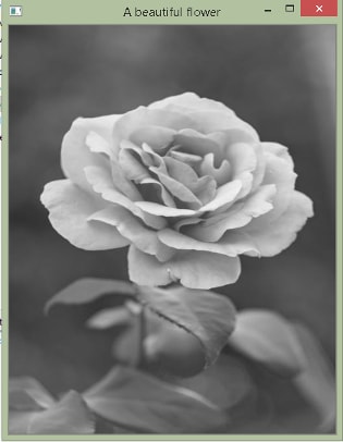 Gray Scale Output of color conversion